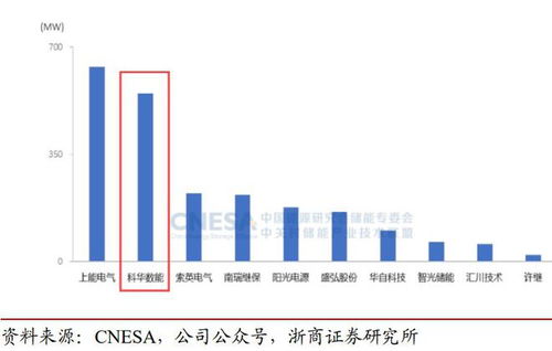 这家公司拿下巴西最大储电项目,一图告诉你储能电站哪块业务最赚