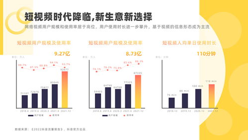 软件运营服务公司产品介绍ppt模板